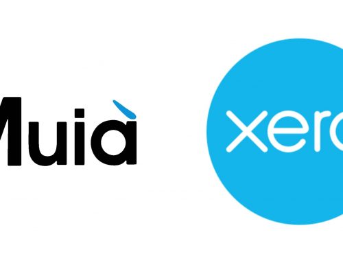 Streamlining Financial Management with Xero: A Game-Changer for Businesses