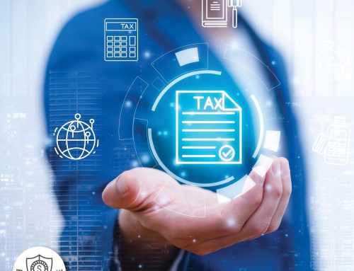 The Real Purpose of Tax Professionals: Protecting the Citizen in an Automated Age