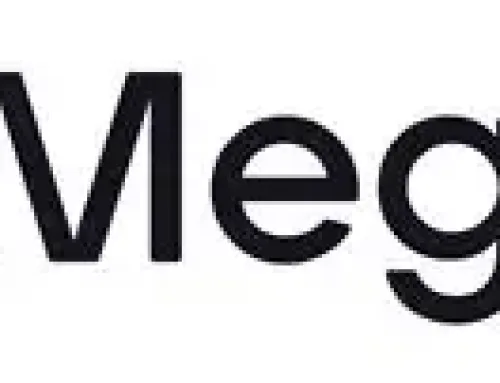 Why Muia Consulting Recommends Mega HR